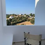 αρχόντισσα *